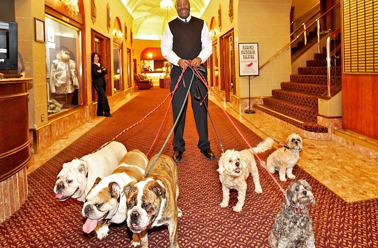    Фото: открытый источник