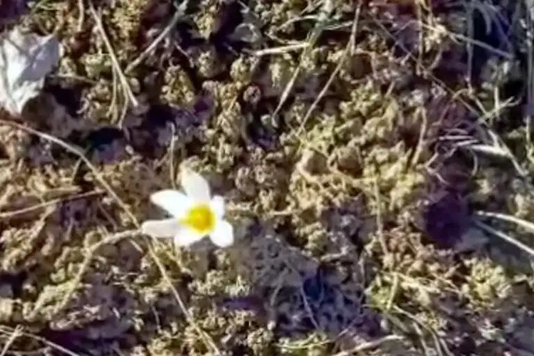   Фото: инстаграм Иле-Алатауского нацпарка