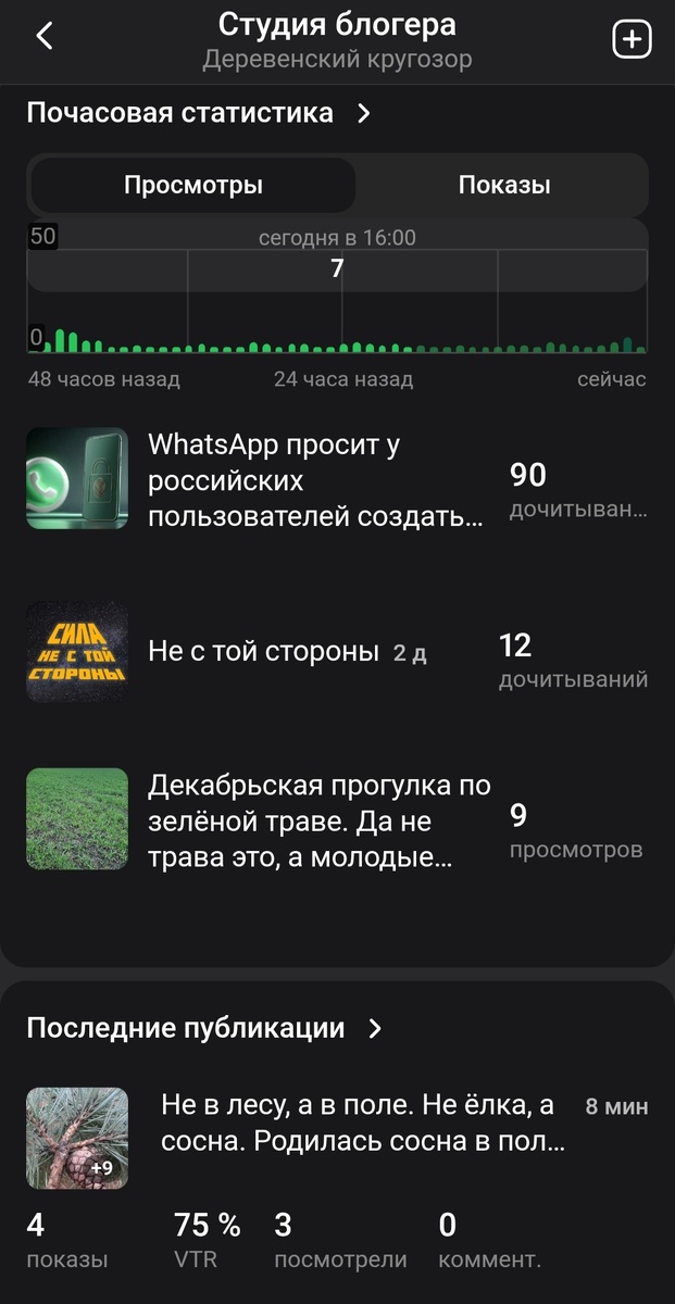 Просмотры сегодня. Скриншот автора 