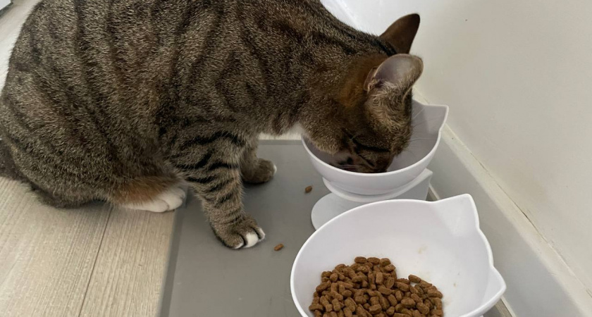    Автор фото - Анна Ефимова