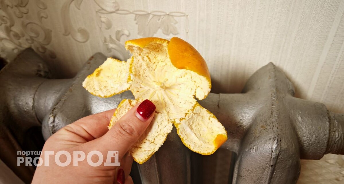    Из архива "Про Город"