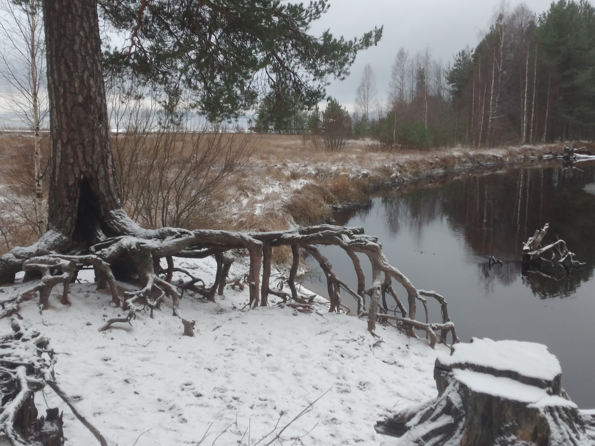 Фото автора (Сила в природе).