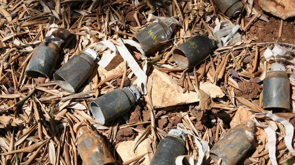    © Фото : Алексей Кулемзин/Telegram