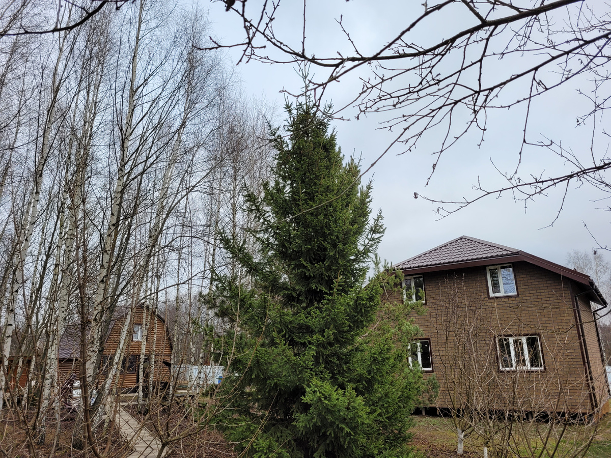 Новый дом, а за деревьями баня