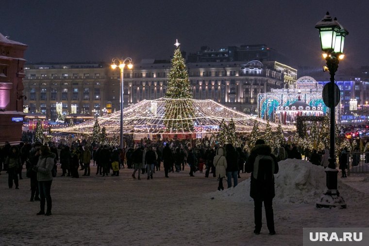     Больше трети опрошенных россиян собираются провести новогодние каникулы дома