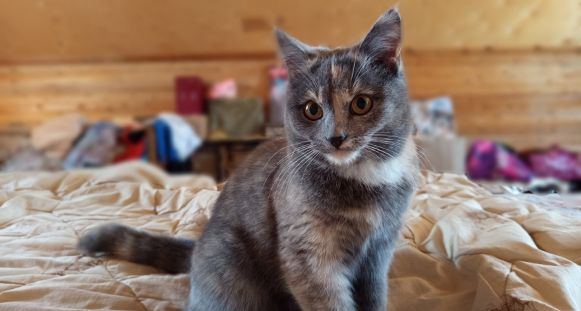    Фото из архива редакции