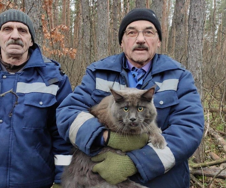  Фото: https://t.me/pridonskoy_vrn36/