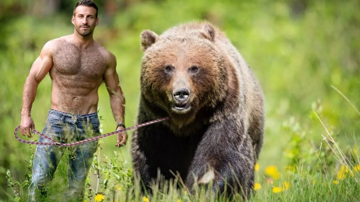 Фото из Яндекса. Спасибо автору. 