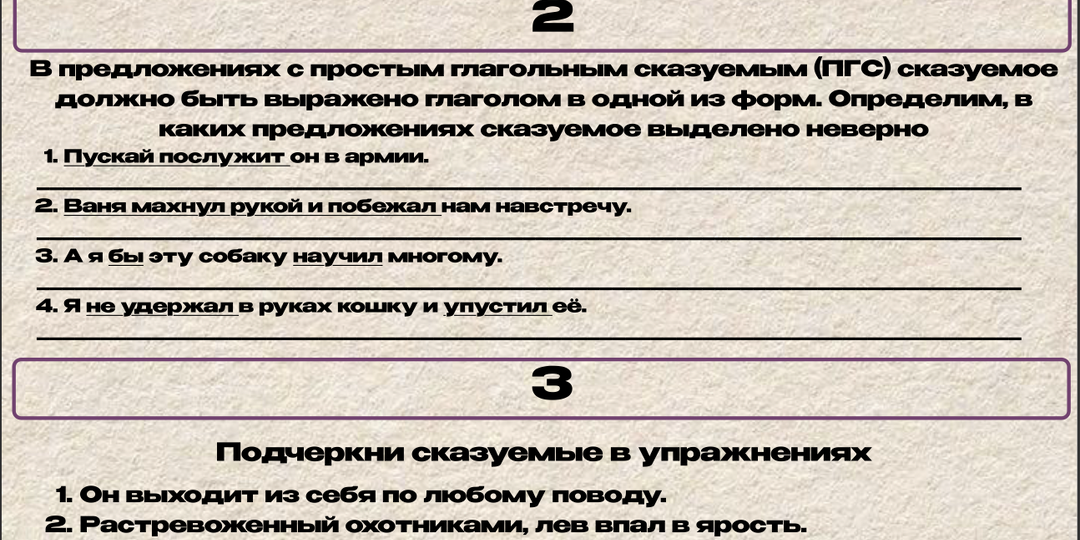 8 класс. Тема ПГС. Рабочий лист