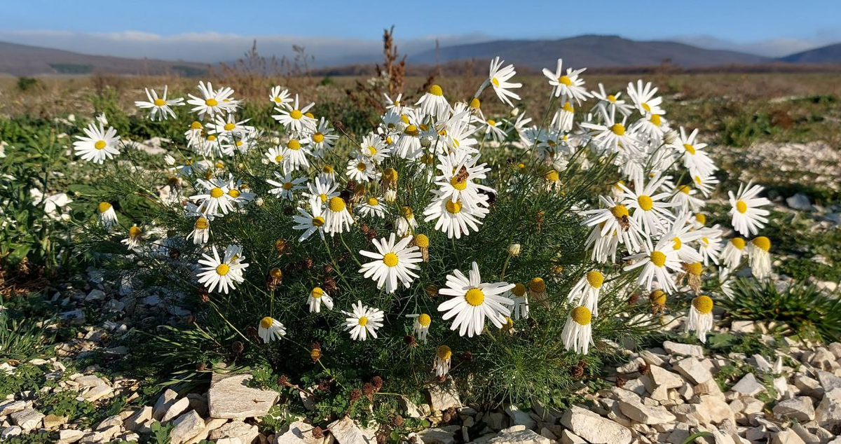 5 декабря 2025 г.