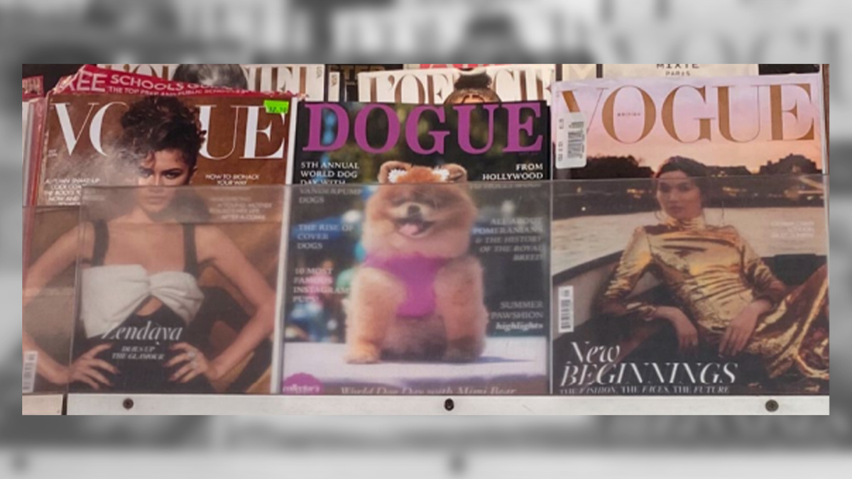 Изображение: Скриншот из искового заявления