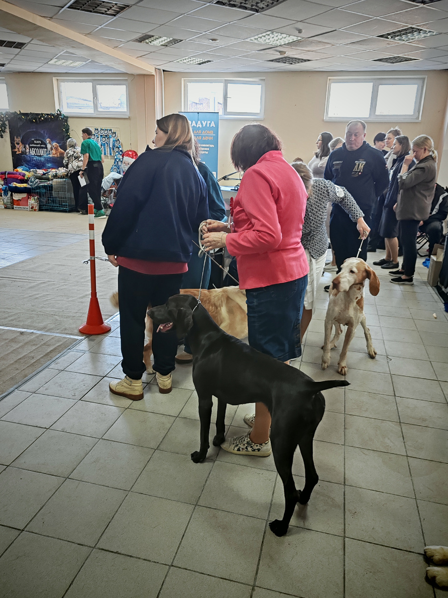 Хэндлер, которой я очень благодарна 