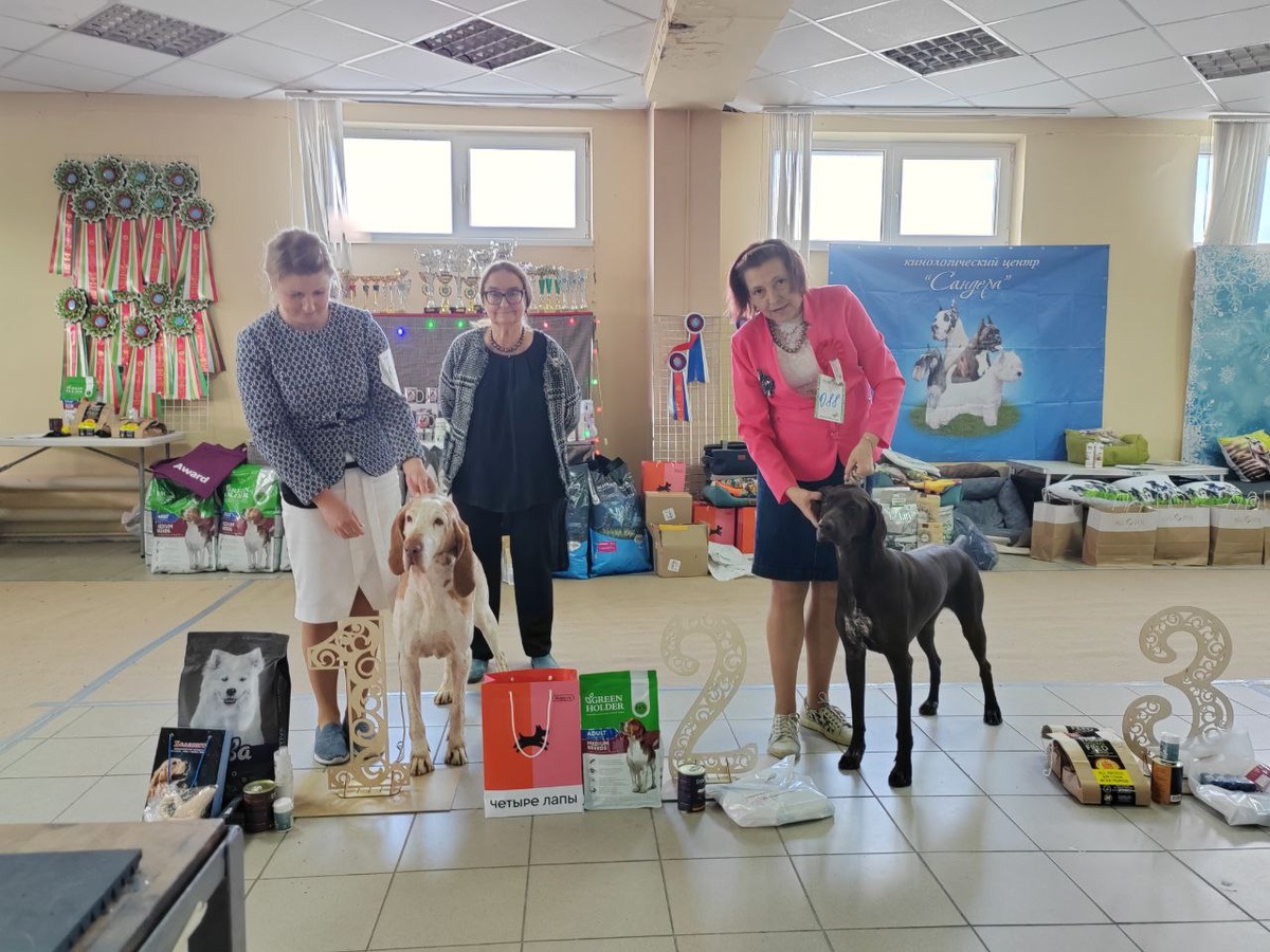 Второе месть в 7 группе легавых (против класса ветерана не попрёшь) 