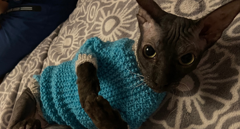    Фото из архива "Про Города"