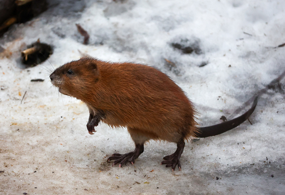    Наталья Шатохина/NEWS.ru