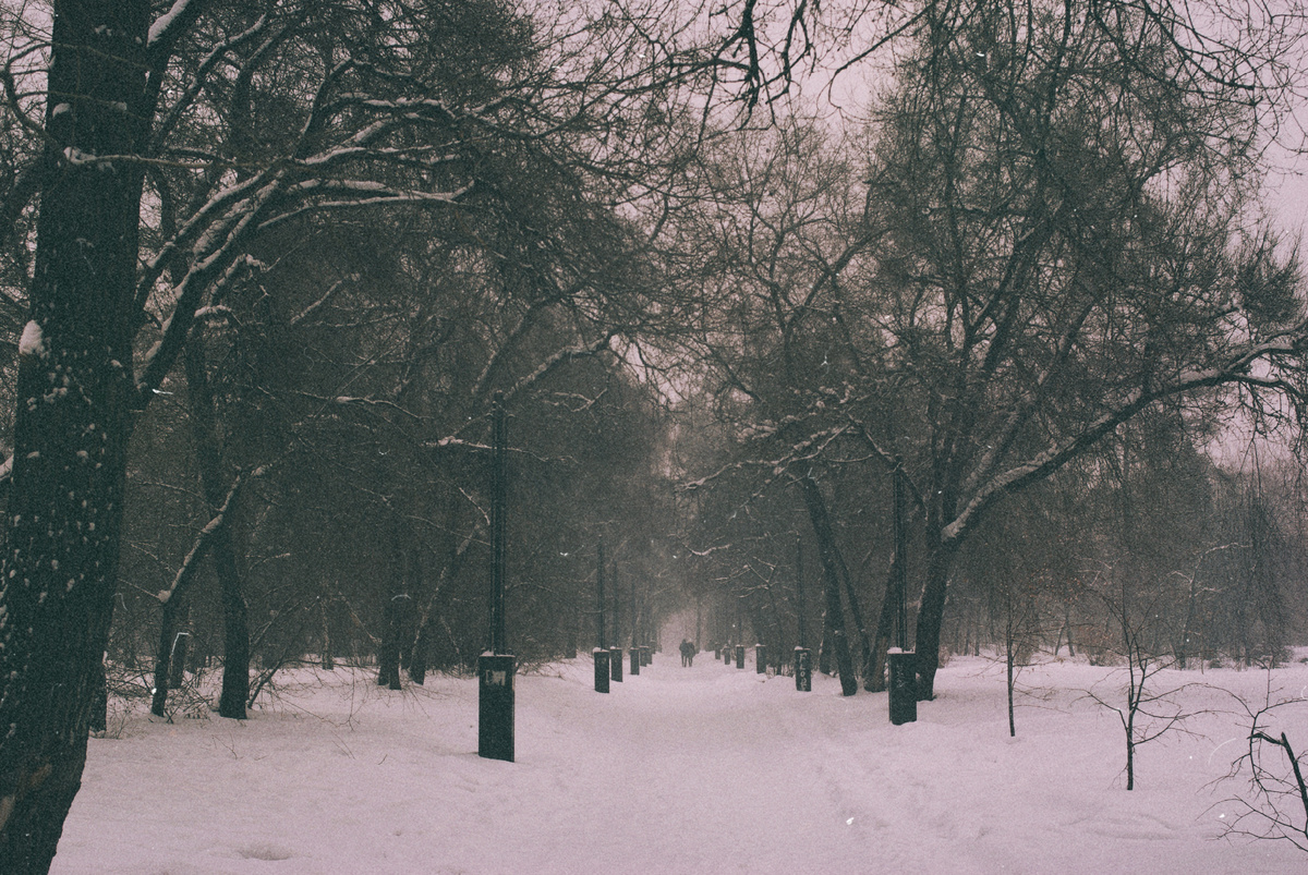 Центральный парк зимой 2015-ого... а выглядит так, будто лет двадцать назад, да? - совсем ещё дикий, неблагоустроенный...