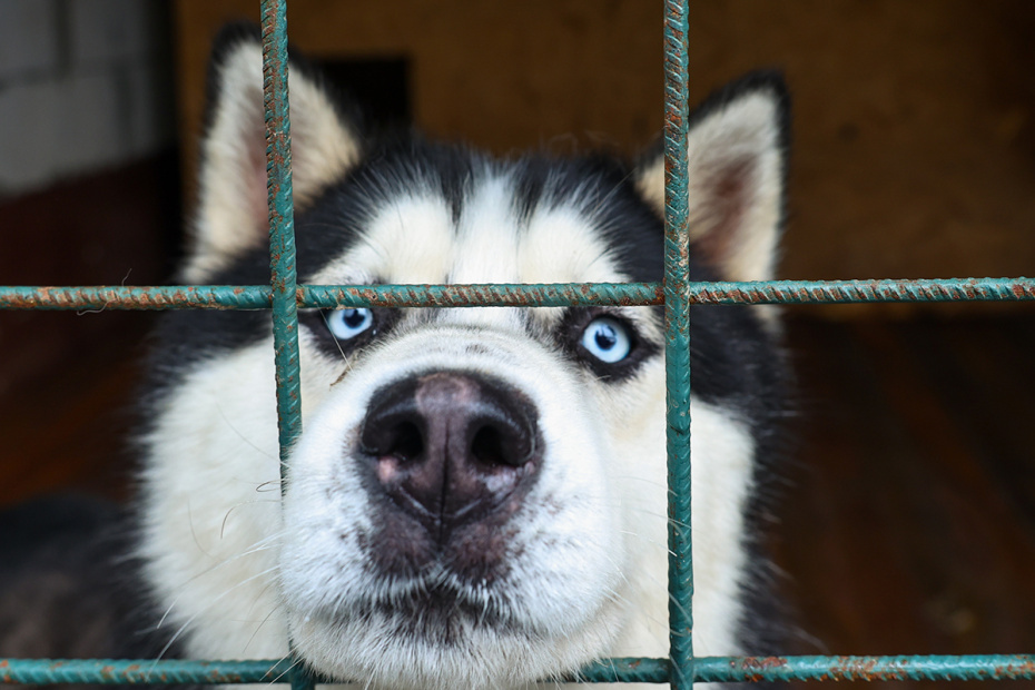    Сергей Петров/NEWS.ru