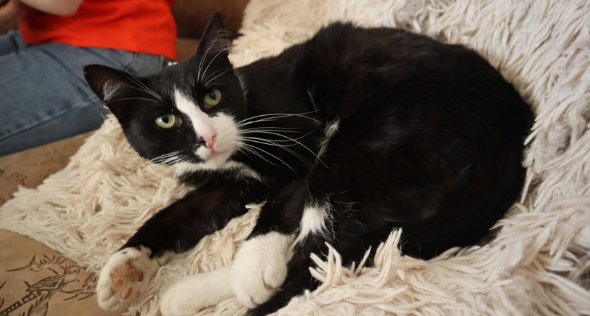    фото из архива редакции