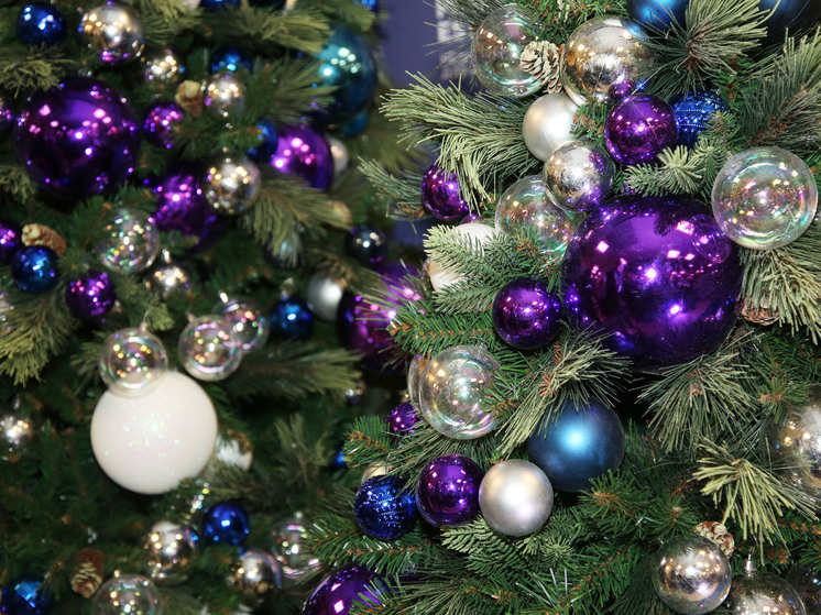 Фото: Лилия Шарловская
