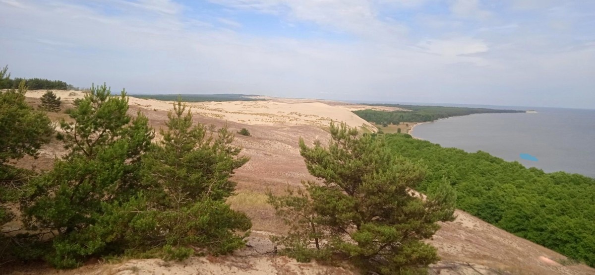 Изображение из открытых источников