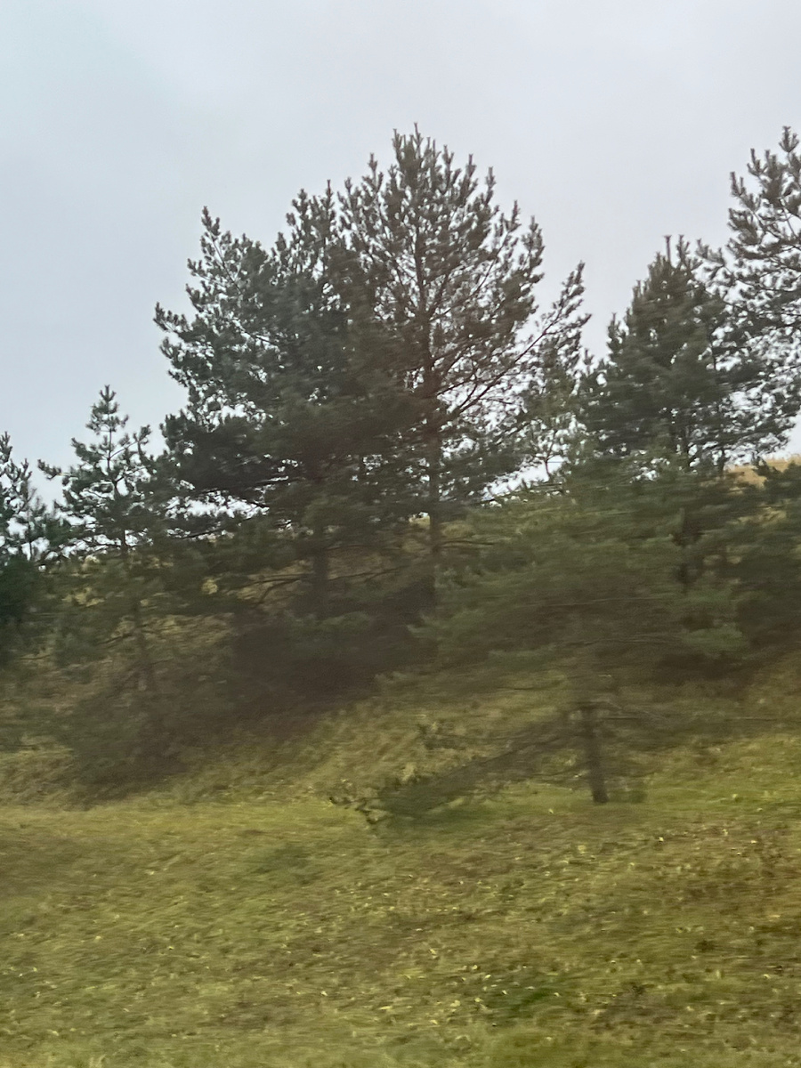 Где-то на Сиферопольке