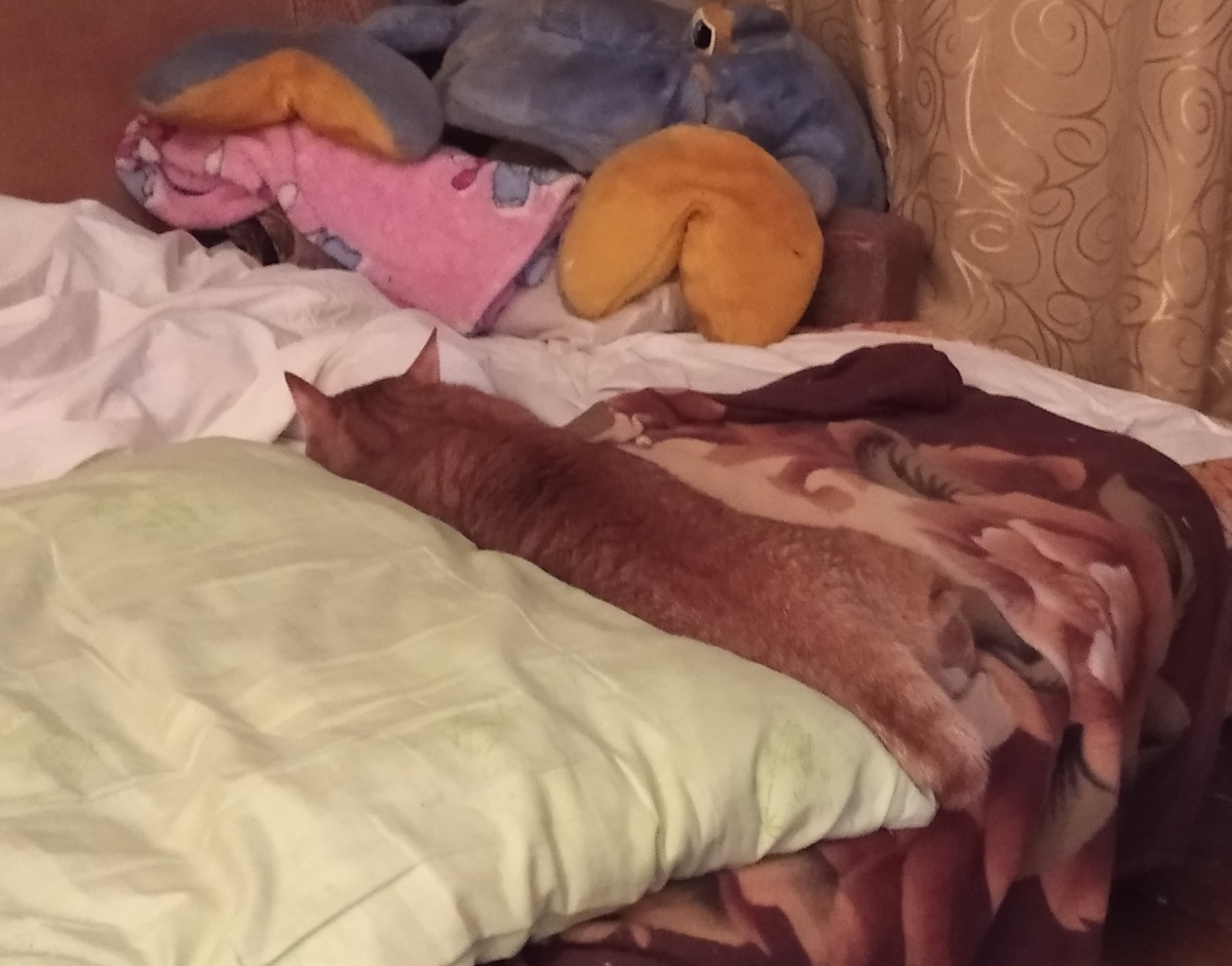 Личное фото