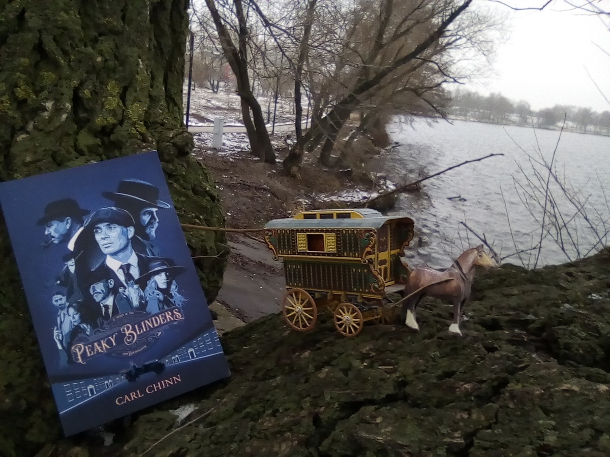 На тот случай, если кто-нибудь не знает, что такое вардо. Собственно, ради этой фотографии всё и затевалось 