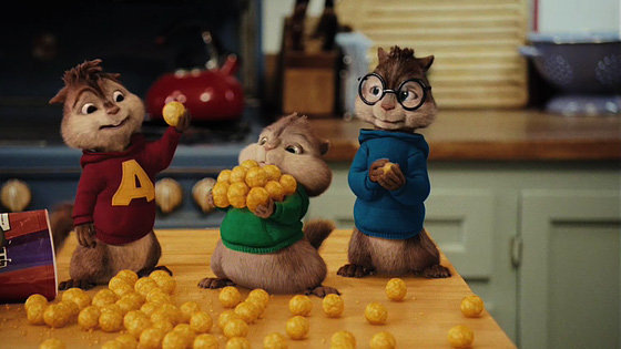 Чем кормить белок зимой: советы биолога, чтобы не навредить пушистым соседям