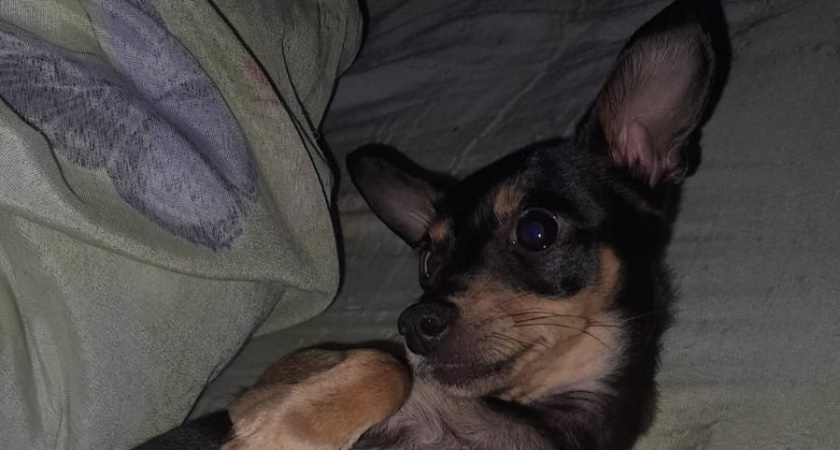    Фото irkutsk.news