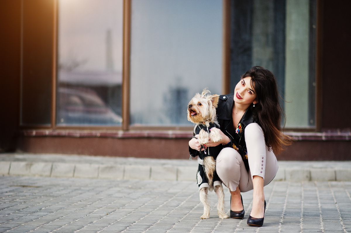 https://ru.freepik.com/free-photo/brunette-gypsy-girl-with-yorkshire-terrier-dog-posed-against-stones-park-model-wear-leather-jacket-tshirt-with-ornament-pants-shoes-with-high-heels_27118373.htm