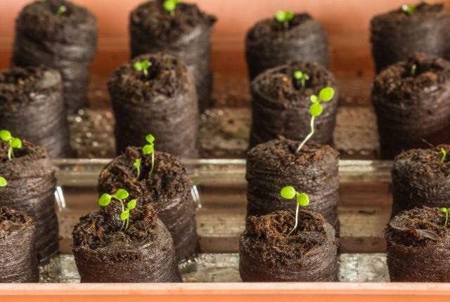 �������� �������� � ��������� ������� ��� ������� ��������, ����� ������ ������� �� �����. � ��� ����� �������������� ���������, � ��� �����, ��� ������� ����� ������ ����� ���� ����� �����. ������� � �� �������� ��������� ���� � ������, �������� ������ ������.