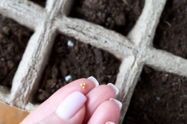 ��������������� ������ � �������� ��������, �� ���� �� �����. ������� ������� �������: ������������ �� ����������� � ����������� ����������� �������� ����� �� ��������������.