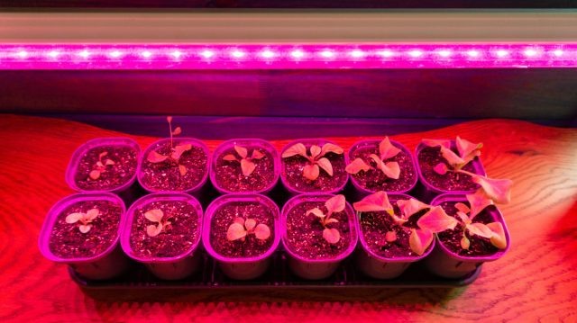 ������� ���� ��������� ��� ������ �������� ���� � ��� ������� ��� ������� � ������ ���. � ����� ����� ����������� ������ � �����, ����� ������ �� �������� � ������� �����, � ����� ����� �������� � �����������.