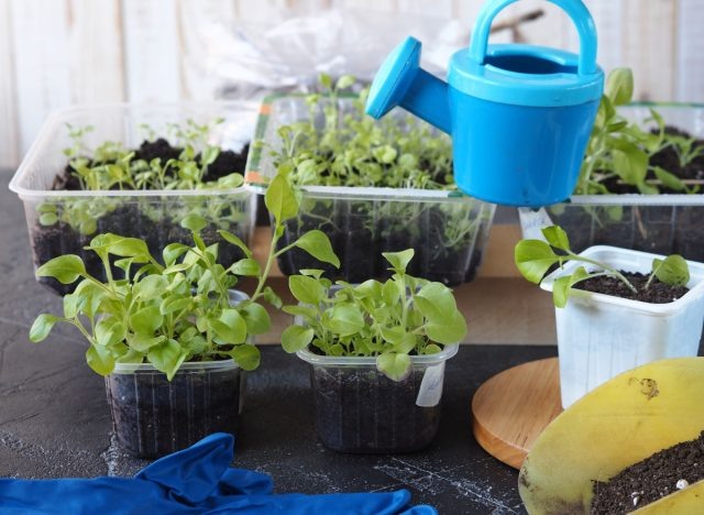 ���������� ����� ����������, ��� �� �����. � �������, ����� ����������� �� ������� ��������� �������� ���� +10�C �����.