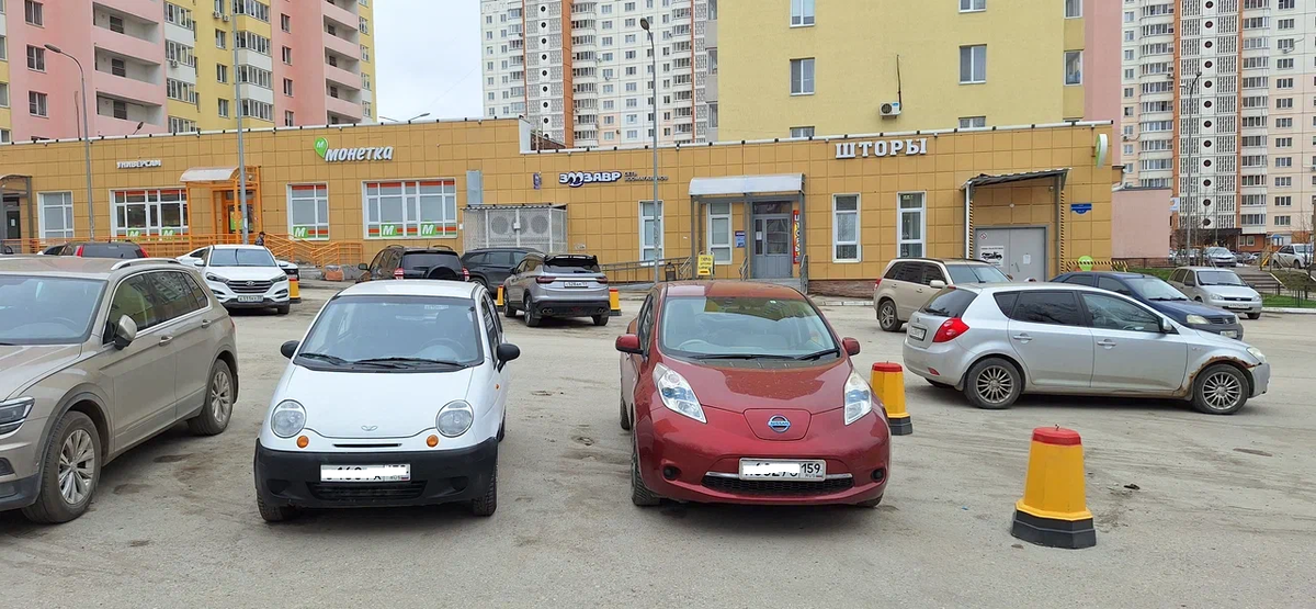 Мои два красавца