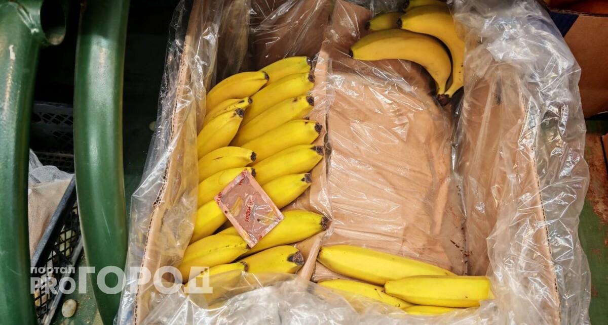    Из архива "Про Город"