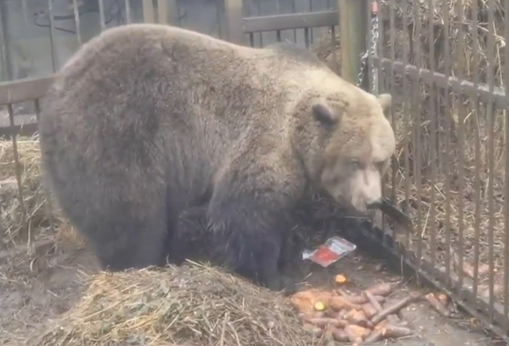 фото: Усадьба "Приют Белоснежки"