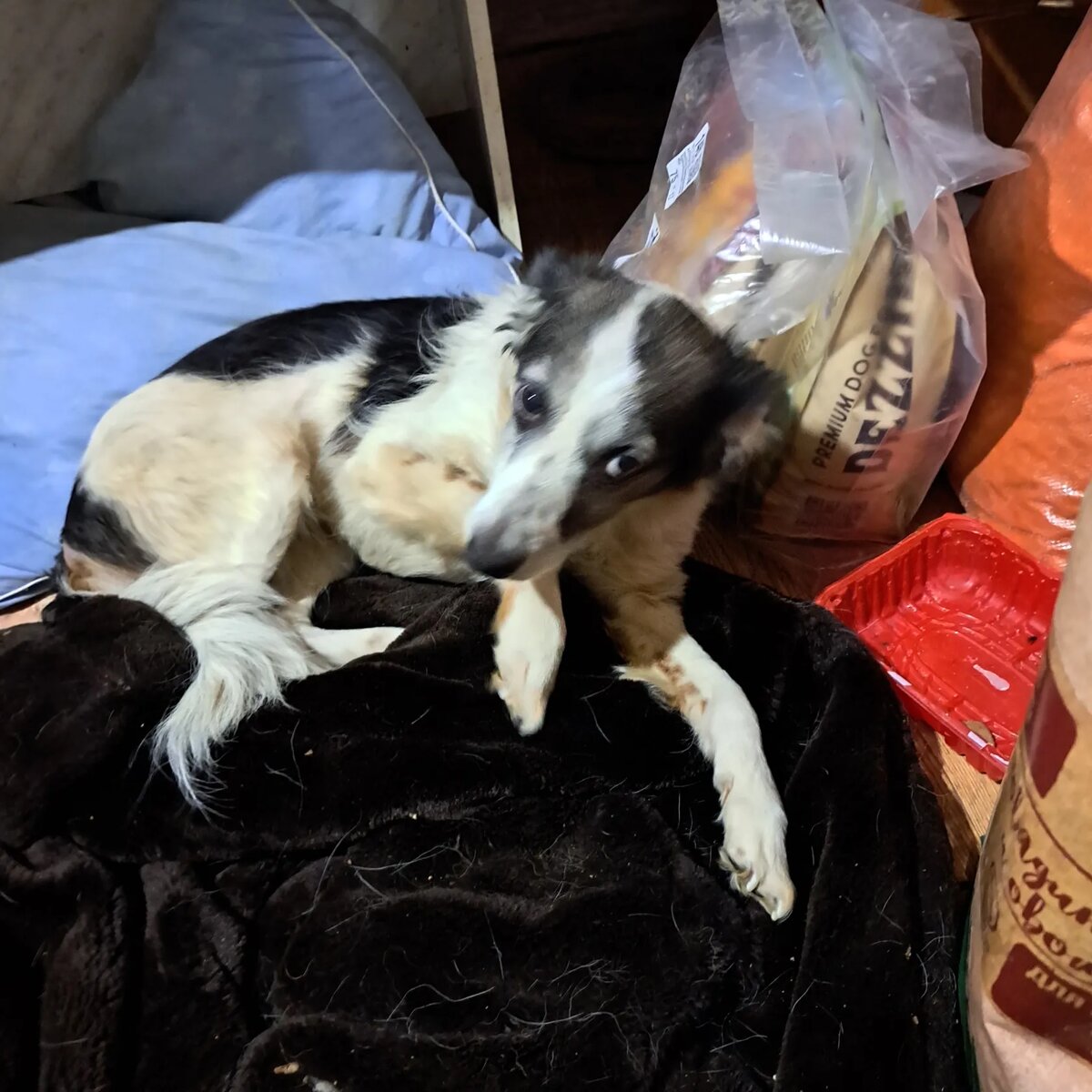 Малышке подарили шубу. Теперь это самая любимая кроватка