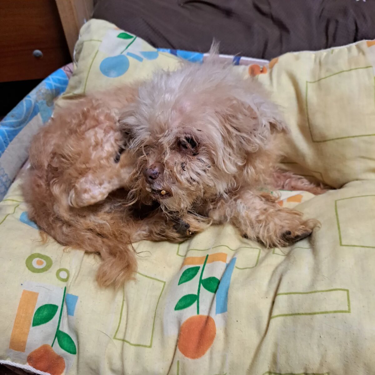 Луиза. В кроватке стелем подушку, так ей комфортнее