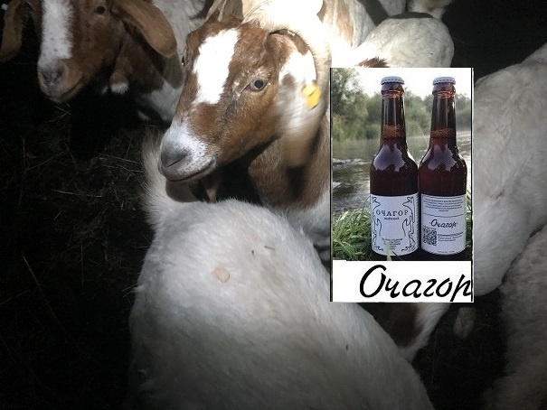 Минусы зимы…Очень кушать хочется…