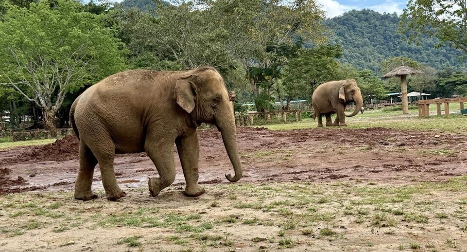    Carola Frentzen/dpa / www.globallookpress.com
