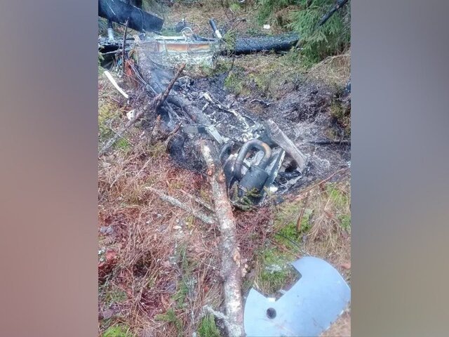    Фото: телеграм-канал "Александр ДроZденко"