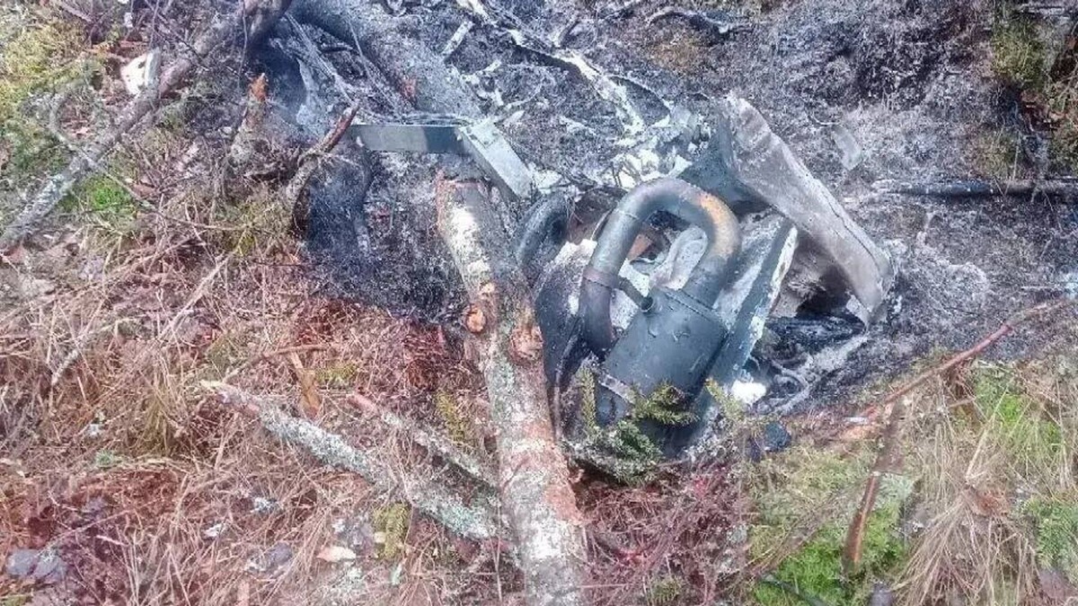     / Источник: © Александр ДроZденко/Telegram