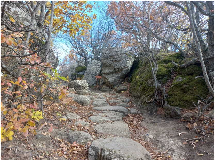 Каменная лестница (фото автора).