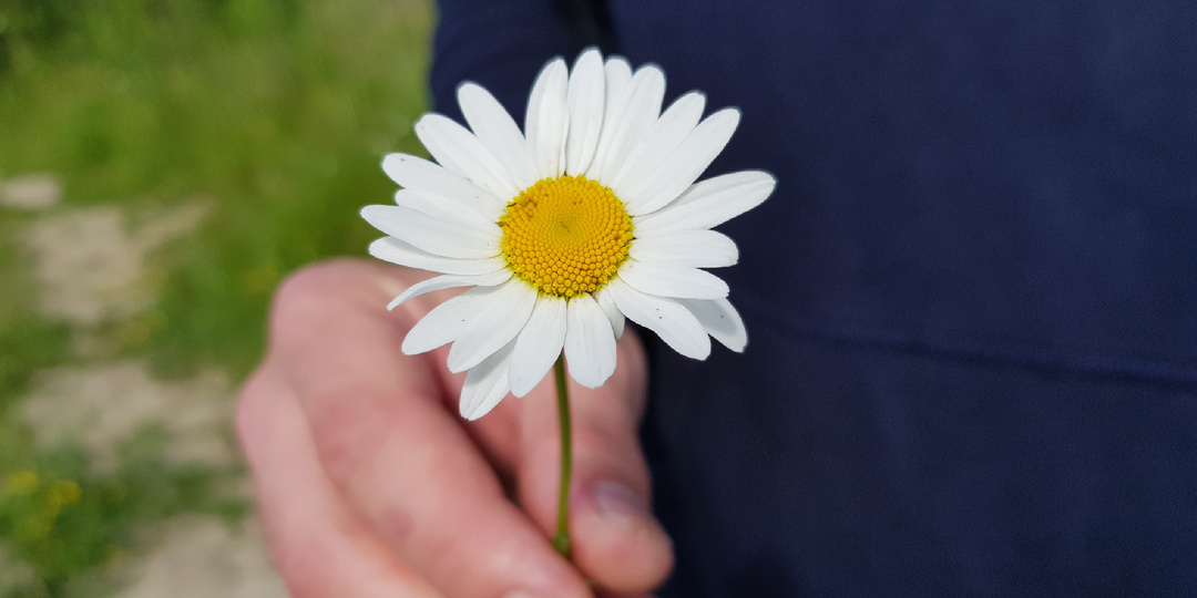 Общие планы и цели на 2026