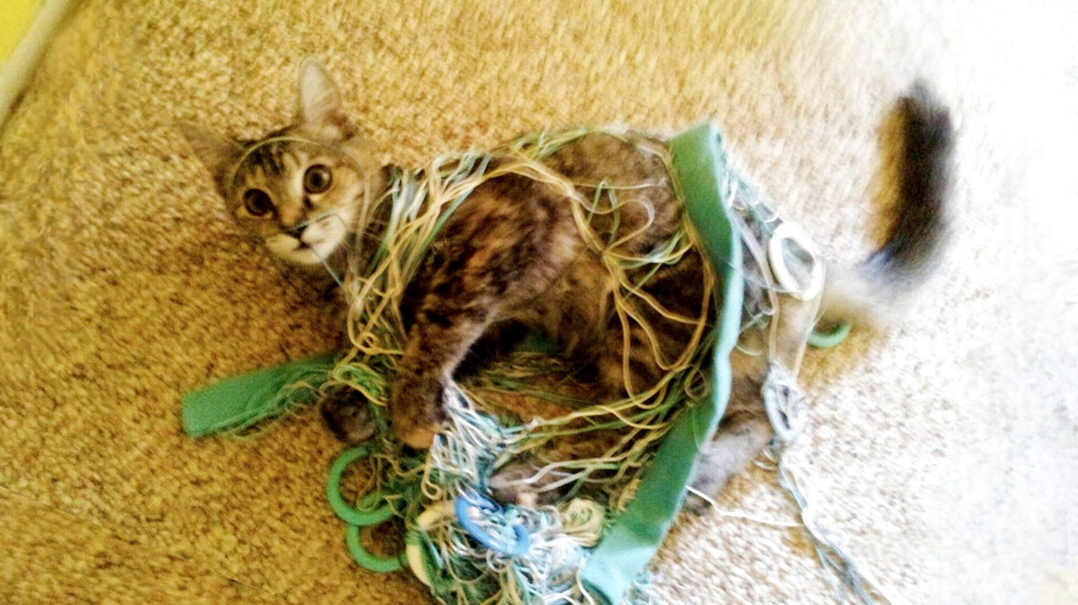 ... а нитки как прыгнут! 