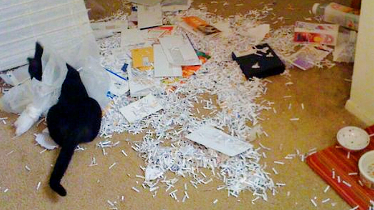 Когда просто пошел поесть и сам не понял, как очнулся посреди хаоса 