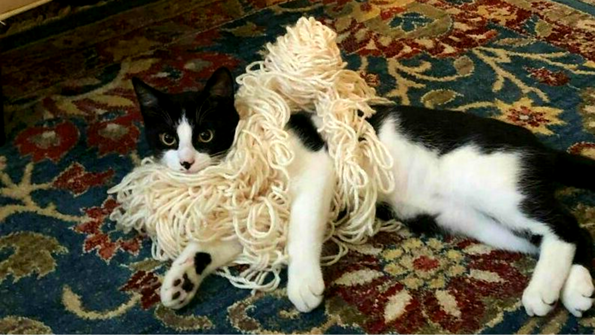 Шла я мимо комода...---->> продолжение -->>