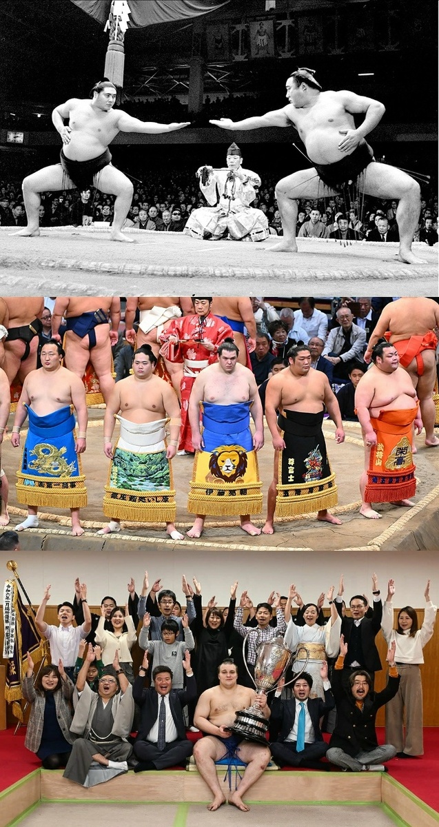 Все три украинца в самой японской борьбе