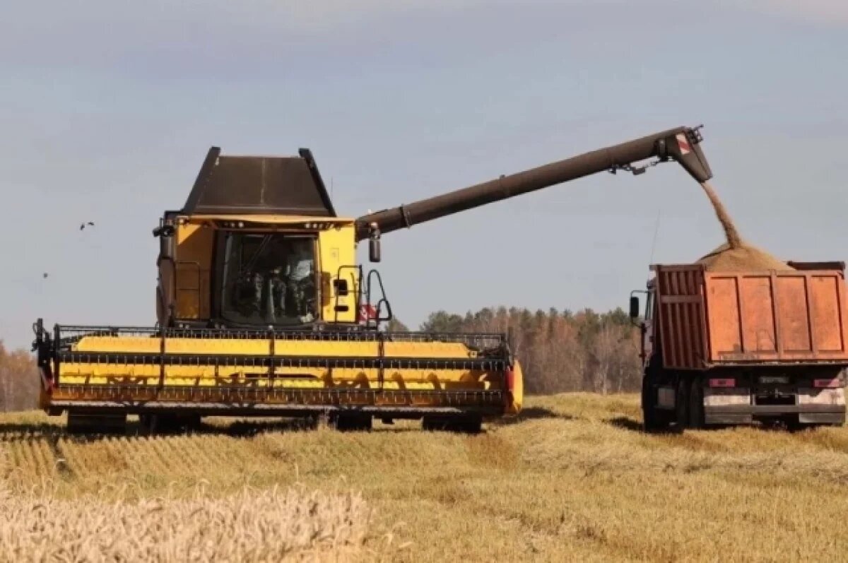    День работников сельского хозяйства отметили в Калининграде